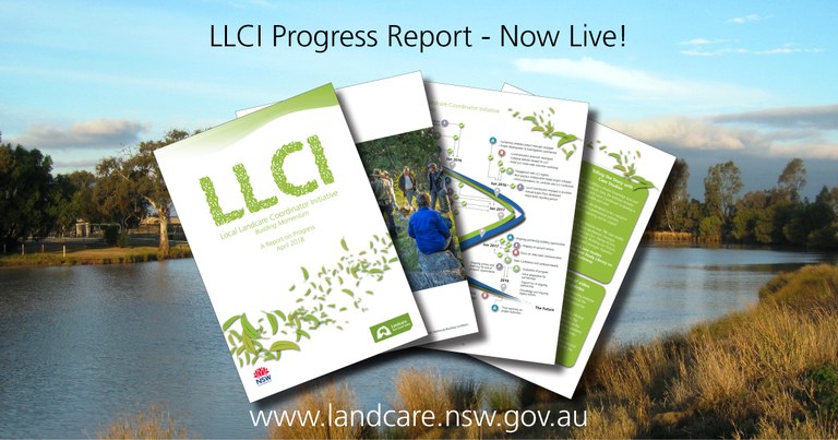 llci-report-banner.jpg