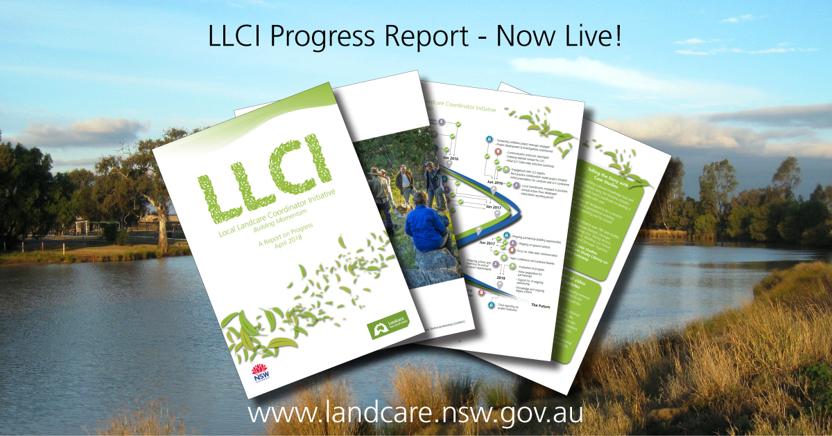 llci-report-banner.jpg