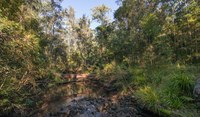 Karuah Catchment Landcare Group