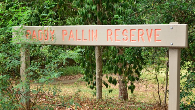 PaddyPallinSign-678x381.jpg