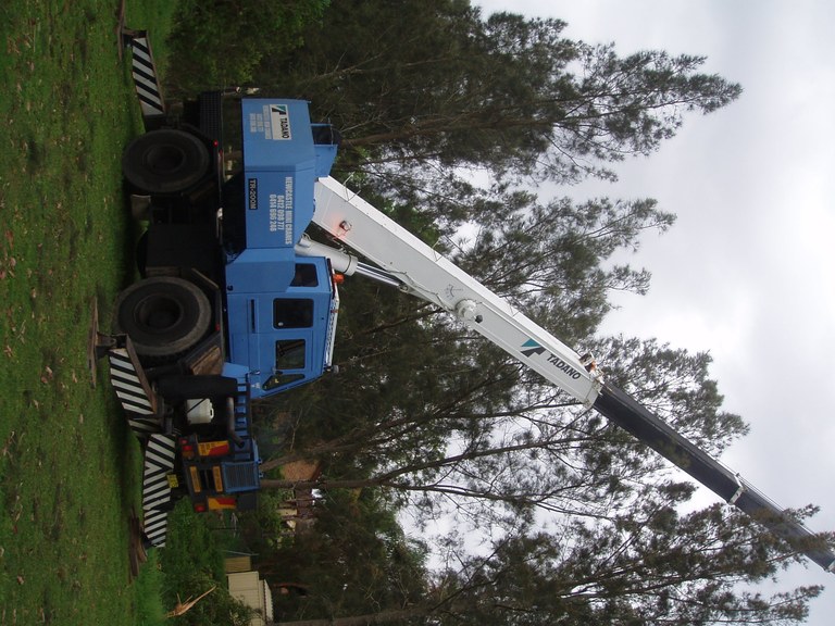 Camphol Laurel removal in a big way