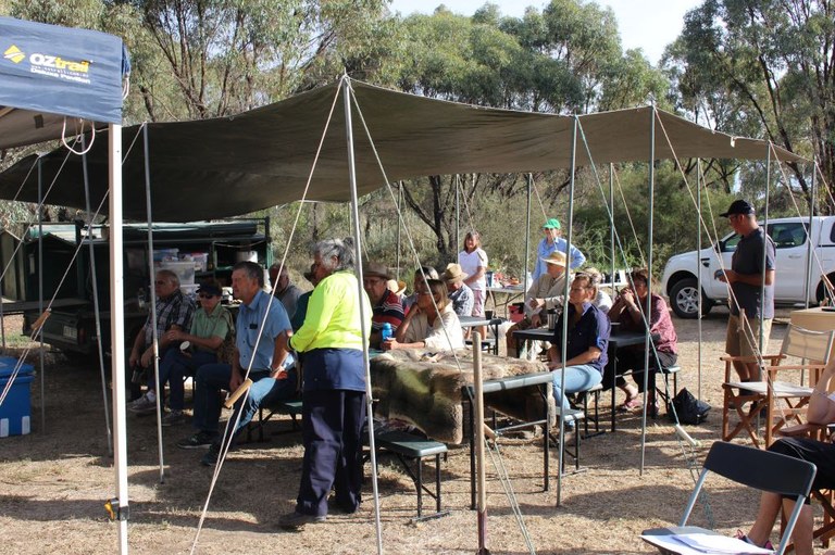 Plant identification field day