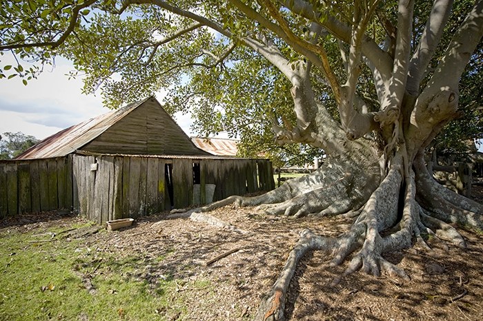 bella-vista-farm-park.jpg