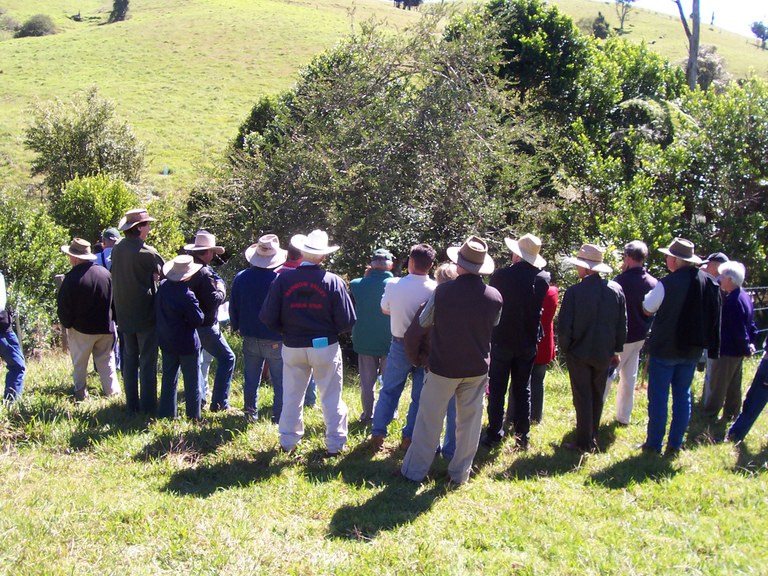 Weed control workshop Dorrigo