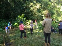 Upper Bellinger River Aquatic and Terrestrial Habitat Connections