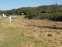 Baragoot Swamp car park planting 2009/2013