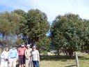 Planting in Mimosa Rocks NP