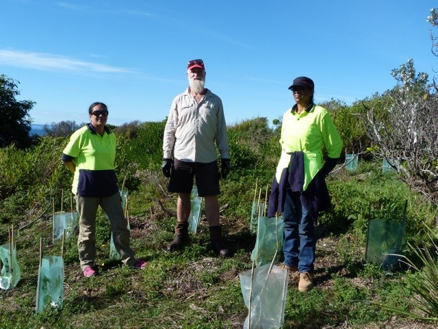 Working with Wilderness Coast Weeds Porject