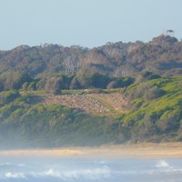 Cuttagee Point Revegetation