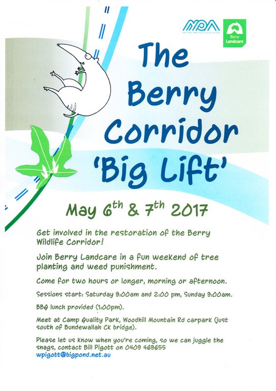 Berry Corridor and a "Big Lift" from UTS Students