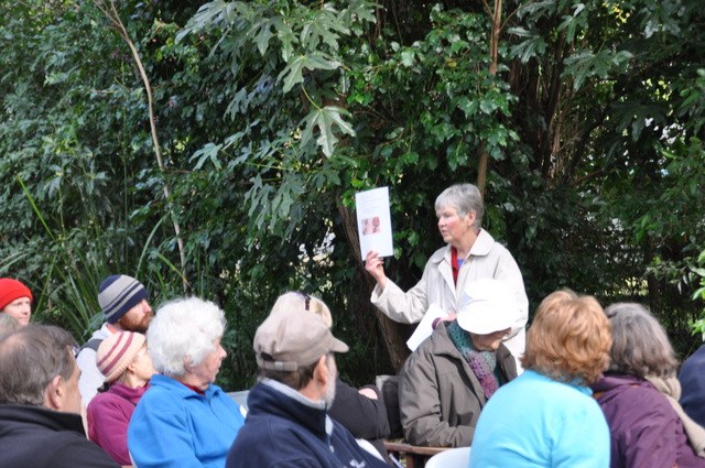 Lyn Clark tells us about the Berry Public School Palnt Propagation Unit