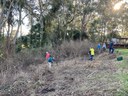 Berry Landcare Working Bees