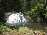 Lowland Rainforest – building connectivity along Duck Creek, Alstonville - Great Eastern Ranges Landcare Grant 2014 - 2015