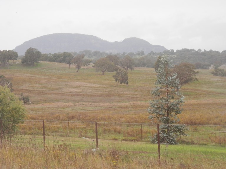 Elephant Mountain