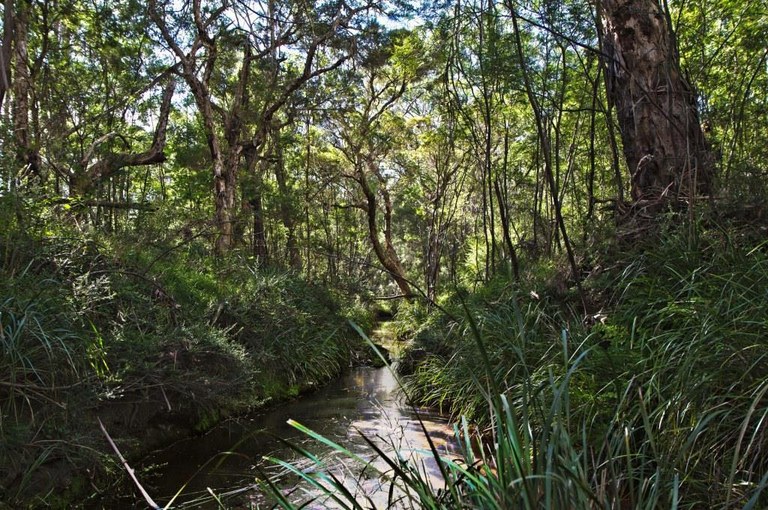 Blacktown District and Environment Group.jpg