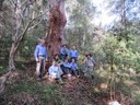 Blue-Gum-Bushcare-group-photos-4-May-2014-Group-Photo-7.jpg