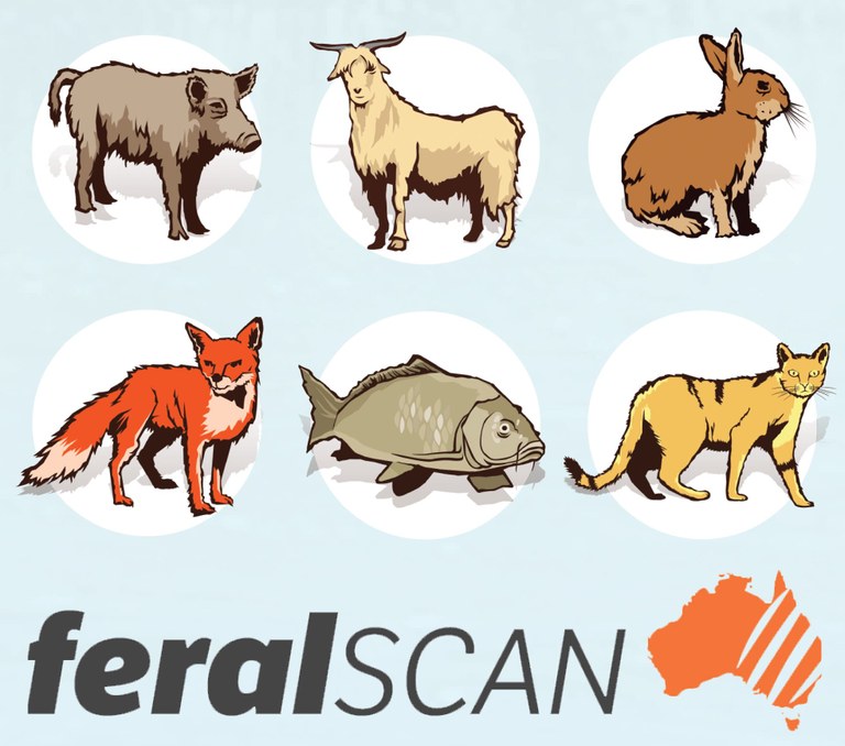 FeralScan Target Pest Animal Species and Logo.JPG