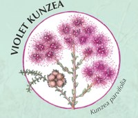 Bombay Display Board: Local Plants