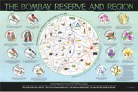 Bombay Display Board: Overview