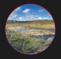 Bombay Display Board: River