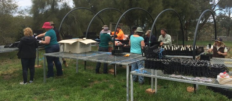 Landcare group planting seeds