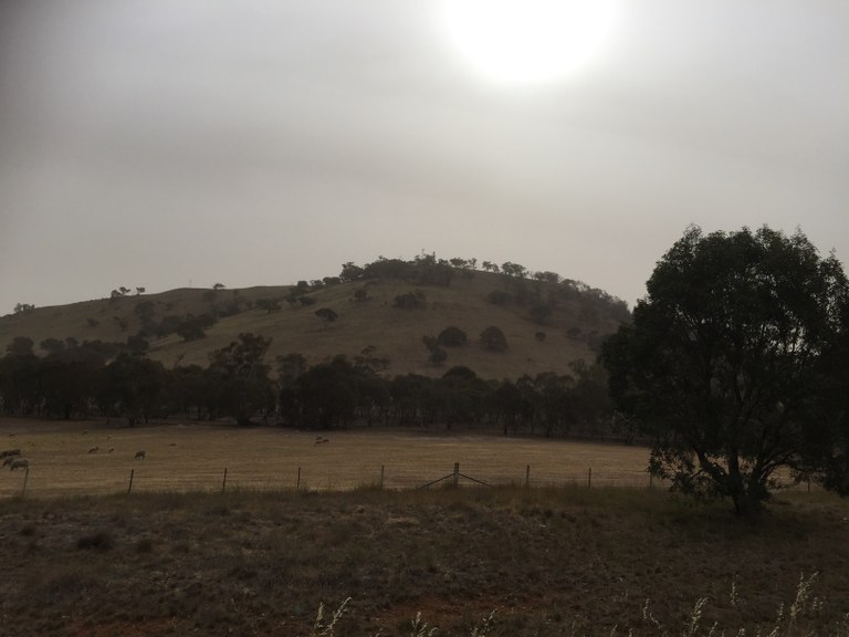 Bowning Hill one view