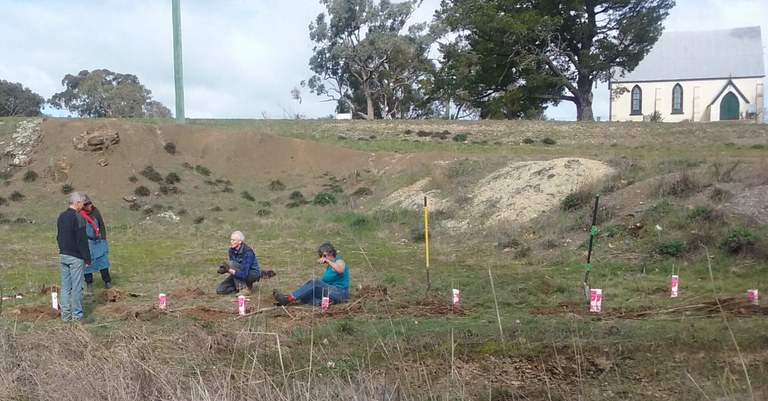 Planting seedlings at Bowning Creek