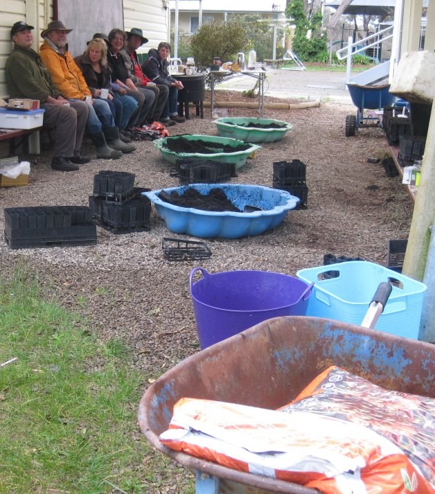 Planting seeds at the nursery