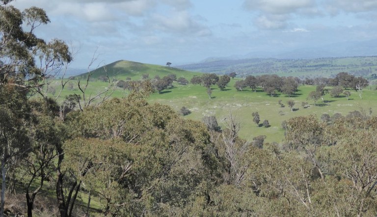 View from Bowning Hill