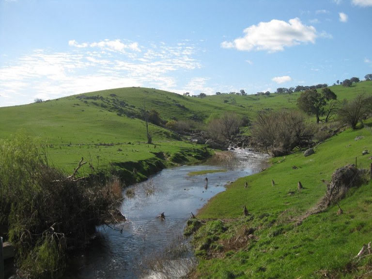 Creek on Black Range Road