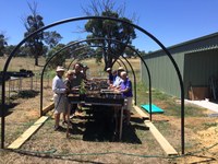 Bango Shade-House Construction.