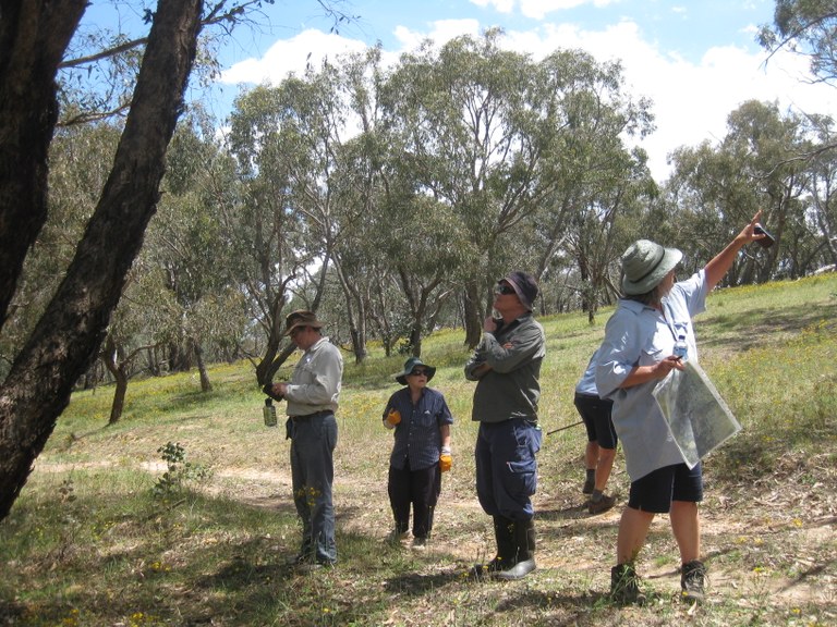 Native seed workshop