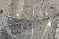 Superb Parrot Walk - Black Range Road, South Bowning - September 25th 2016.