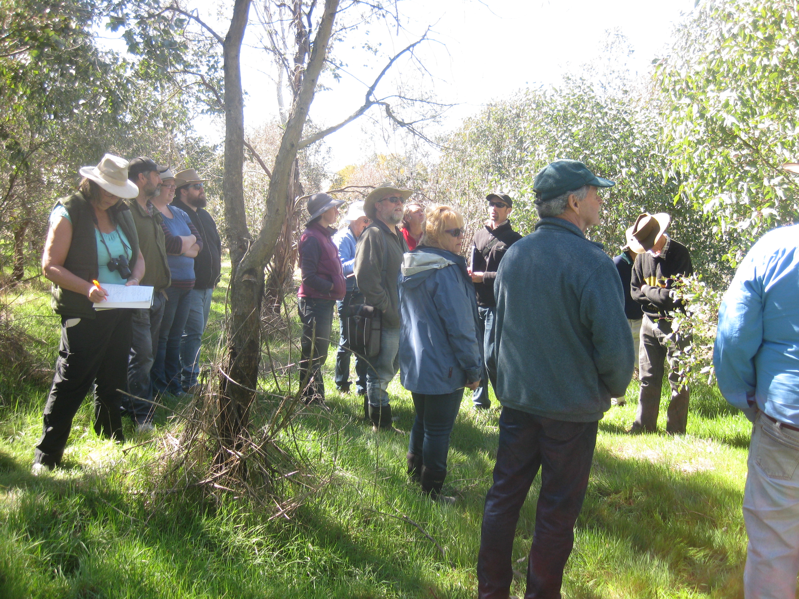 shelter-belts-workshop-nsw-landcare-gateway