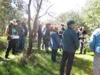 Shelter belts workshop