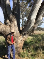 Lessons learnt on how to plan for dry times. By David Marsh, Boorowa grazier.