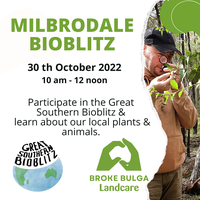 Milbrodale BioBlitz