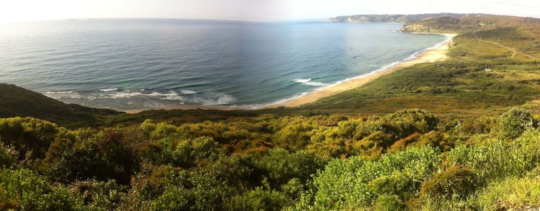 Burwood Beach.jpg