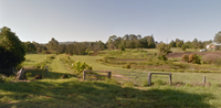 Slaters Creek Riparian Restoration