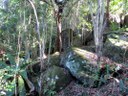 Caniaba Landcare 