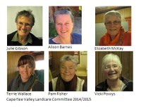 New Committee for 2015