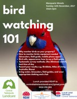 Birdwatching 101 at Macquarie Woods