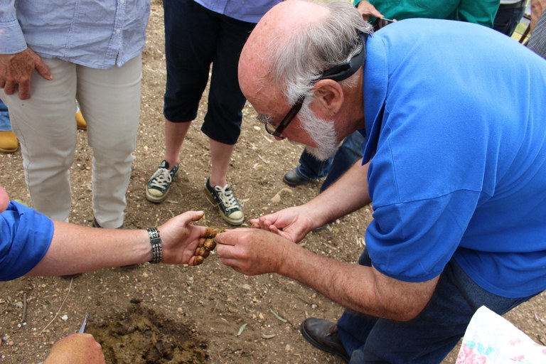 Dung Beetling around the Central Tablelands 5th & 6th April