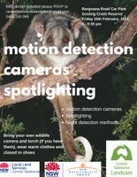 Motion detection cameras and spotlighting