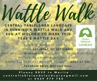 Wattle Walk at Molong