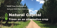 2024 New South Wales Tree Conference