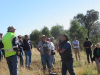 Agroforestry in Action: The Inaugural NSW Tree Conference