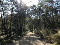 Capertee Valley Plant ID Workshop