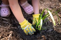 Capertee Valley Planting Supporting the Endangered Regent Honeyeater - Planting Day!