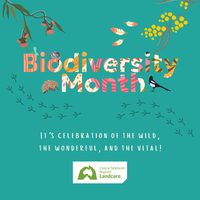 Celebrating Biodiversity Month Across the Central Tablelands